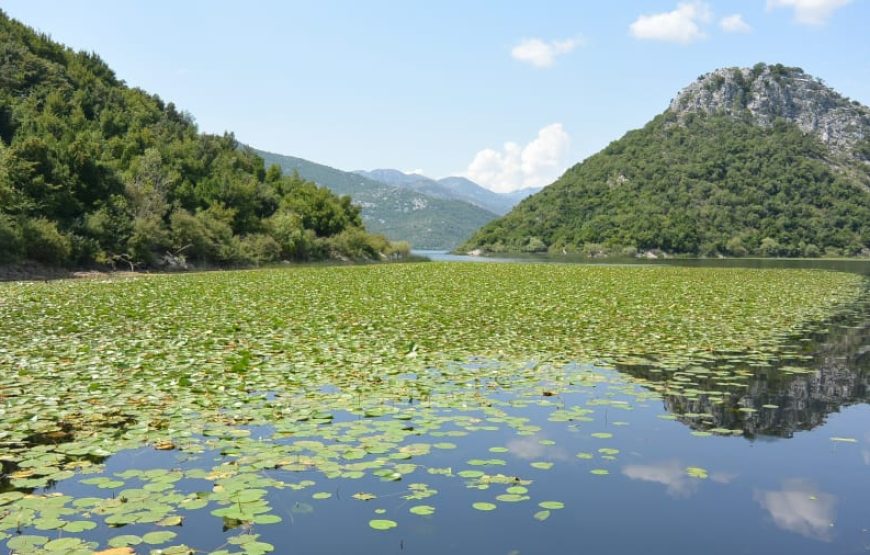 Daily trip to Shkodra